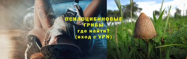 спиды Абаза