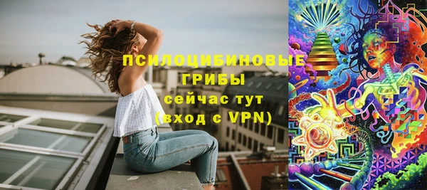 спиды Абаза