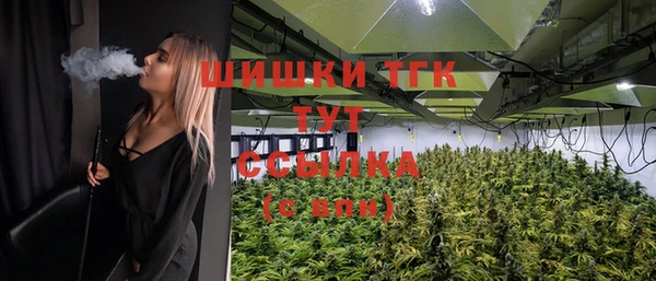 спиды Абаза